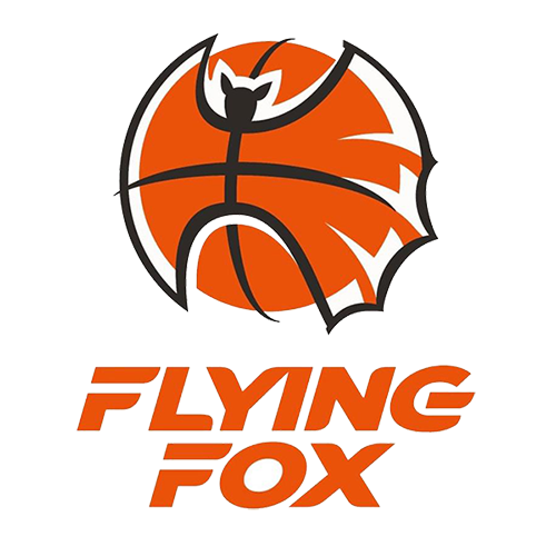 FLYING FOX Team Logo